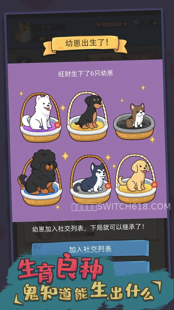 狗生模擬器 (Dog Life Simulator)-安卓修改版 1 狗生模擬器 (Dog Life Simulator)遊戲截圖