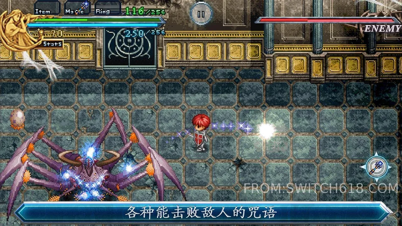 Image 5