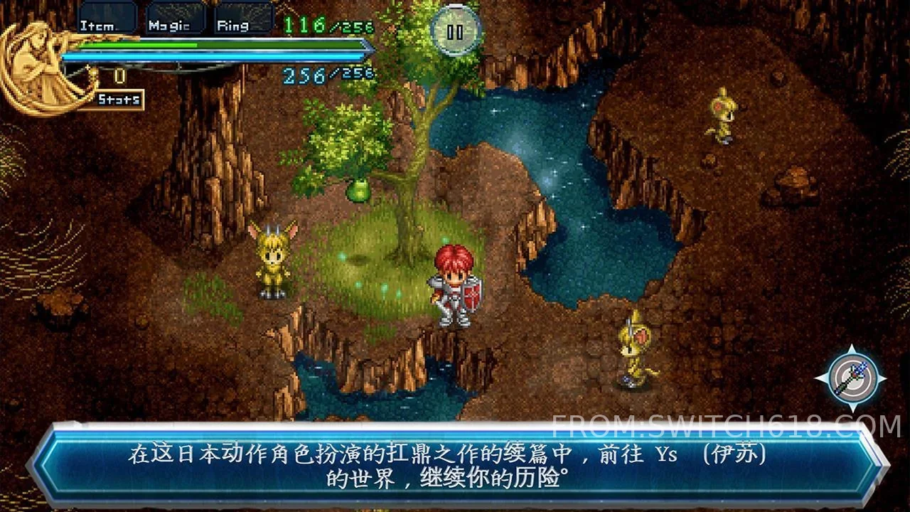 Image 3